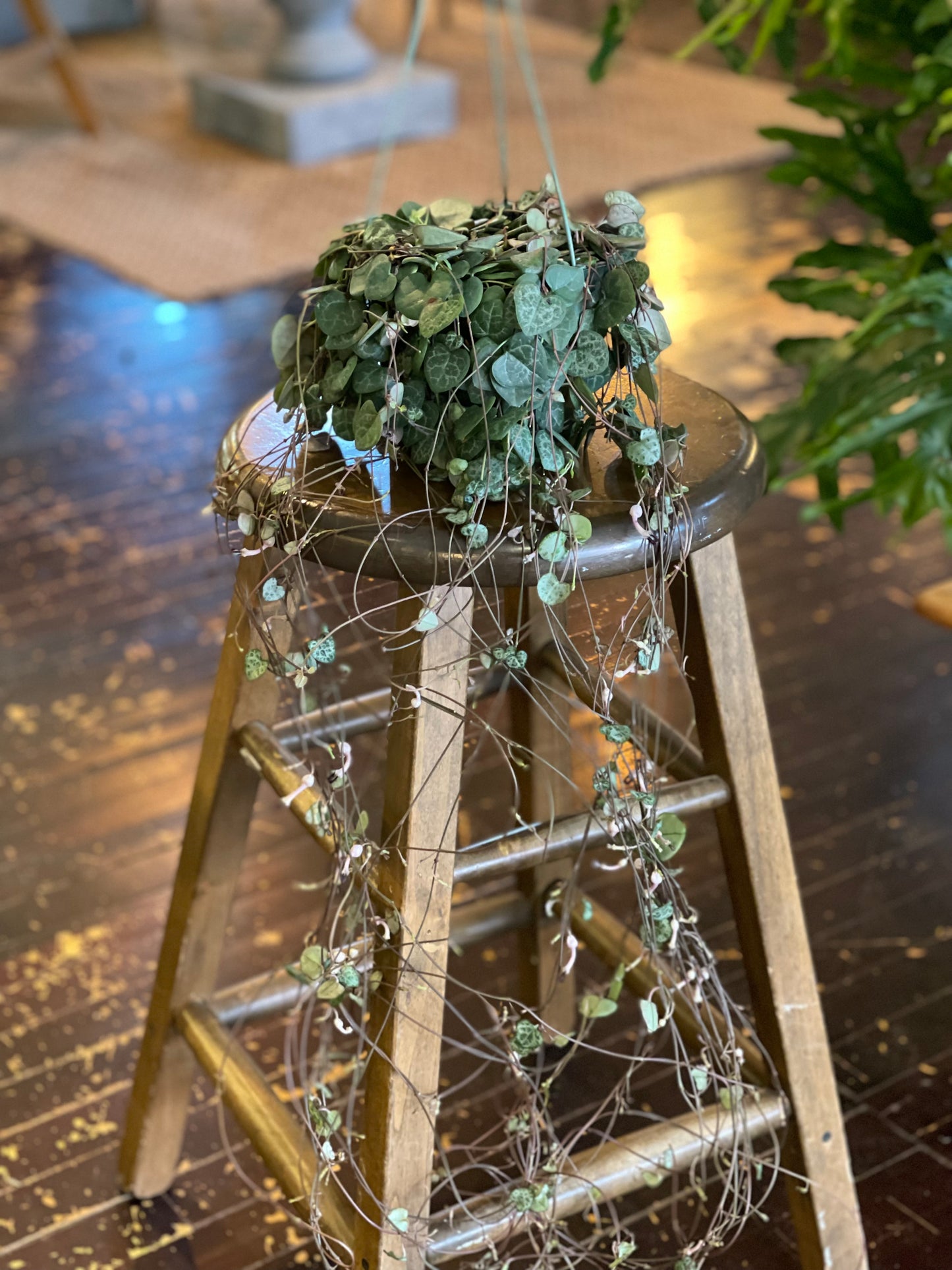 String of Hearts
