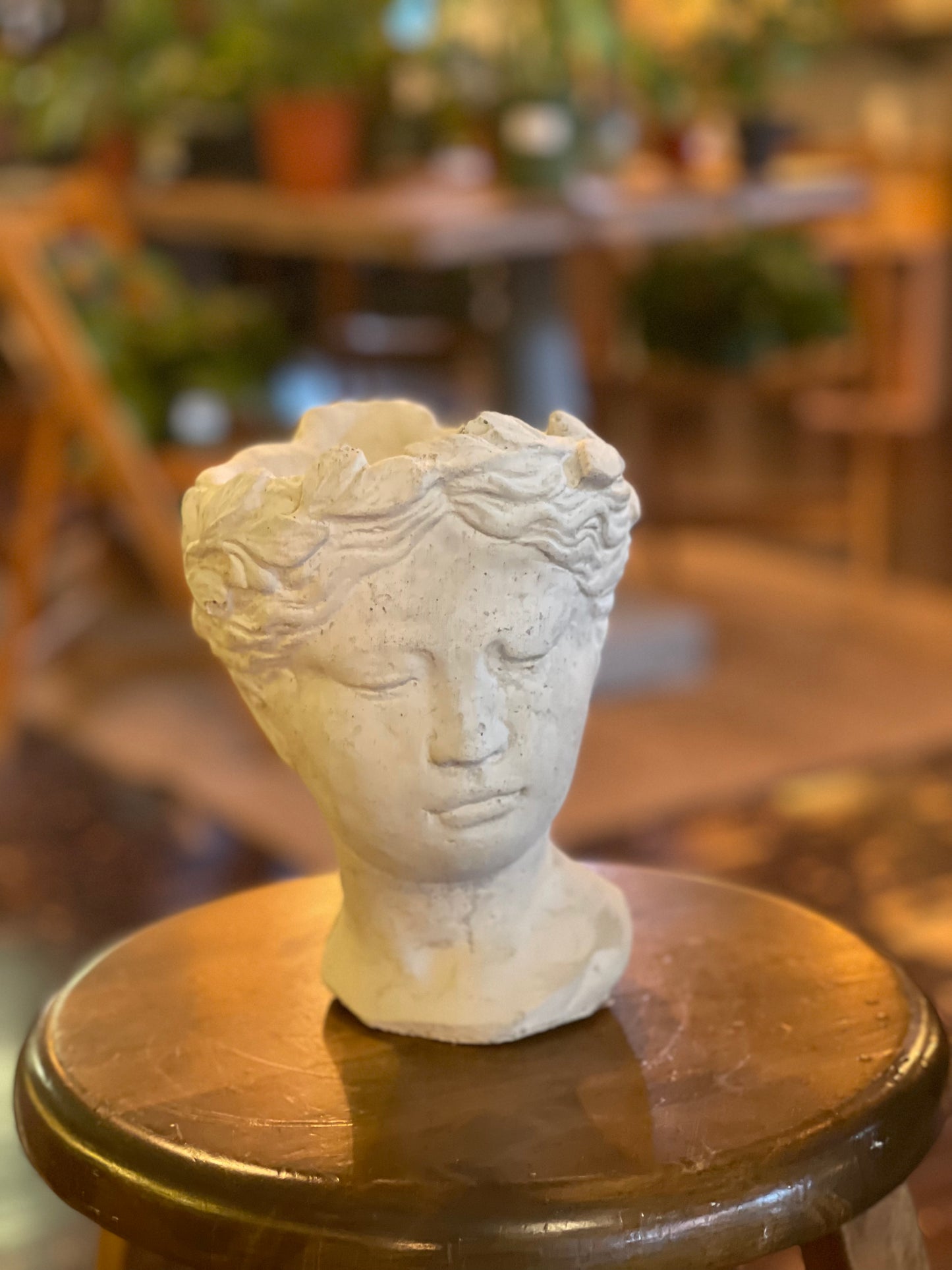 Lady Luck Planter