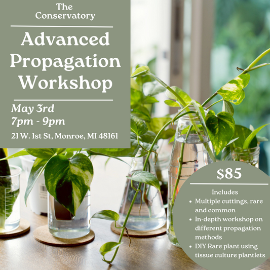 Advanced Propagation Workshop - 5/3/2024