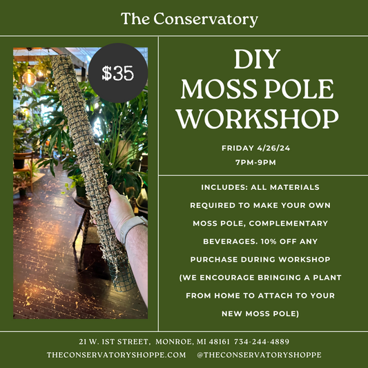 DIY Moss Pole Work Shop - 4/26/24