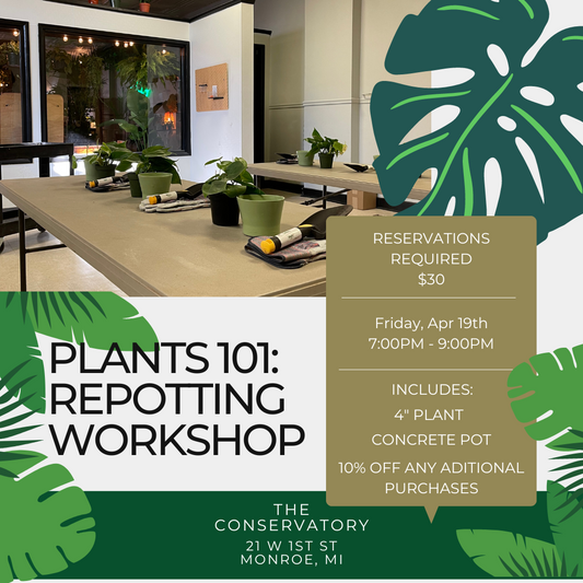 Plants 101:  Repotting Workshop - 4/19/2024