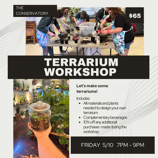 Terrarium Workshop - 5/10/24