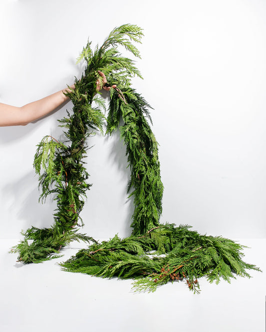 10' Live Garland