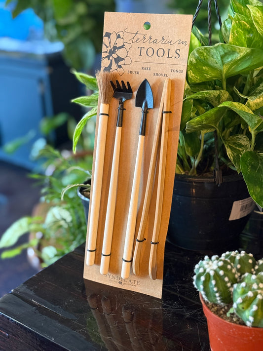 Terrarium Tool Kit