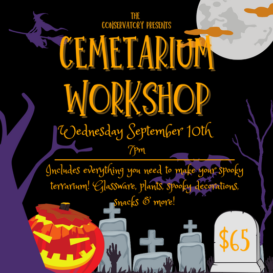 Cemetarium Workshop 9/10