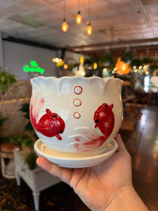 Gold Fish Planter with Saucer