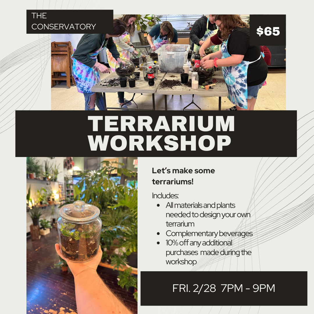 Terrarium Workshop - 2/28/2025