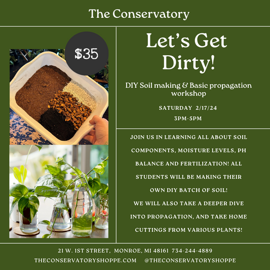 Make Your Own Soil/Propagation Class - 2/17/24