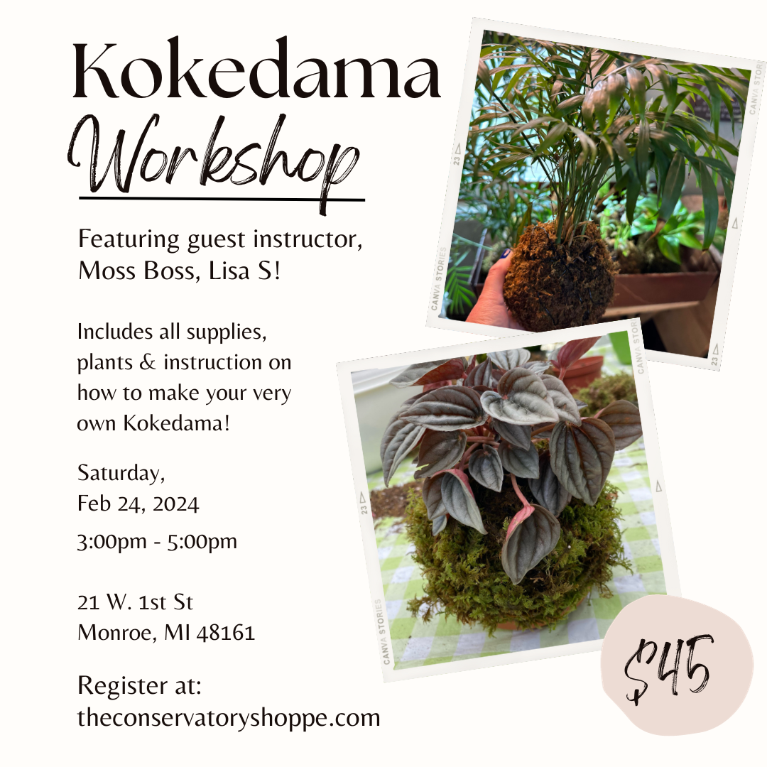 Kokedama Workshop - 2/24/24